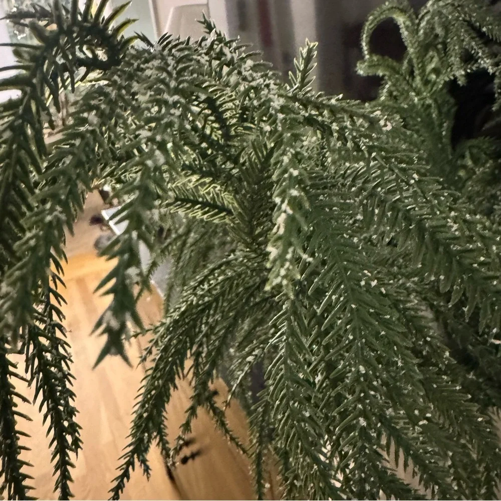 3/ My Texas House norfolk pine 24”stem Decoration, Green,..